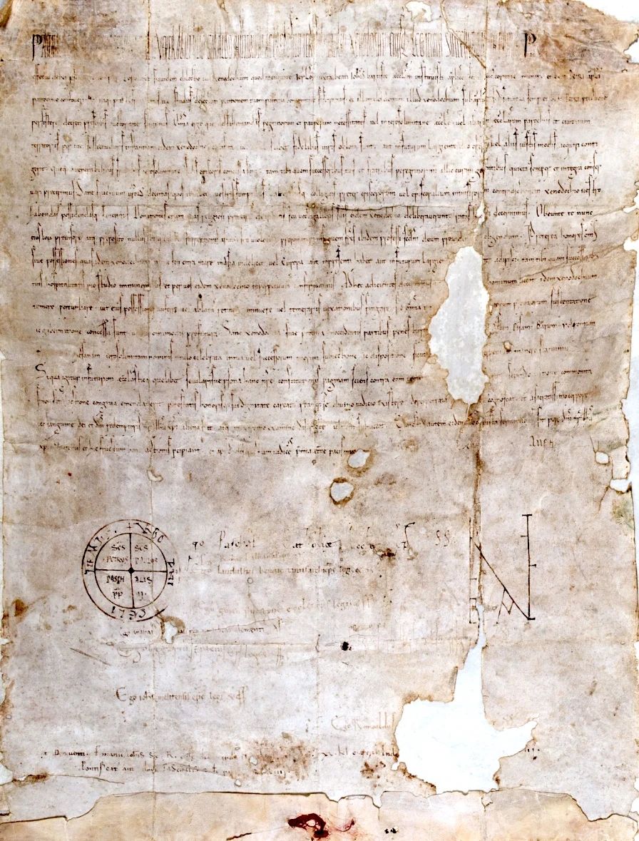 The Knights Hospitaller — a hospital order under arms